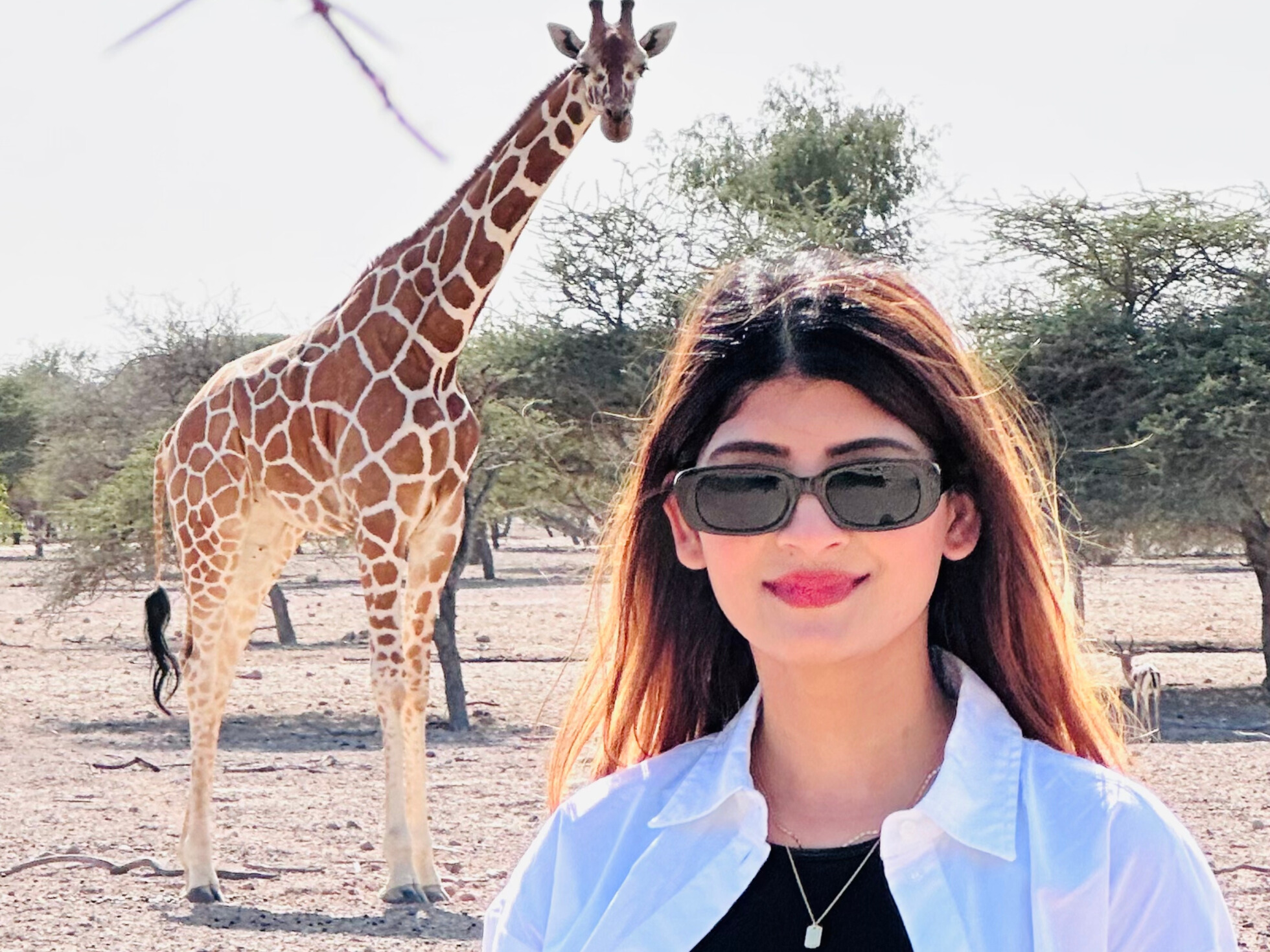 A wild weekend getaway in Abu Dhabi