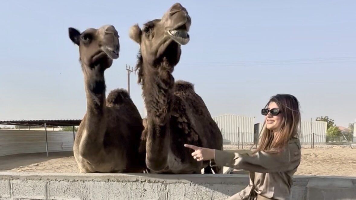 Free Things to Do in Dubai This Eid 2026