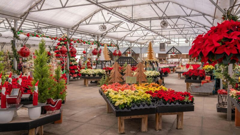 Nature inspired indoor activities in Abu Dhabi 