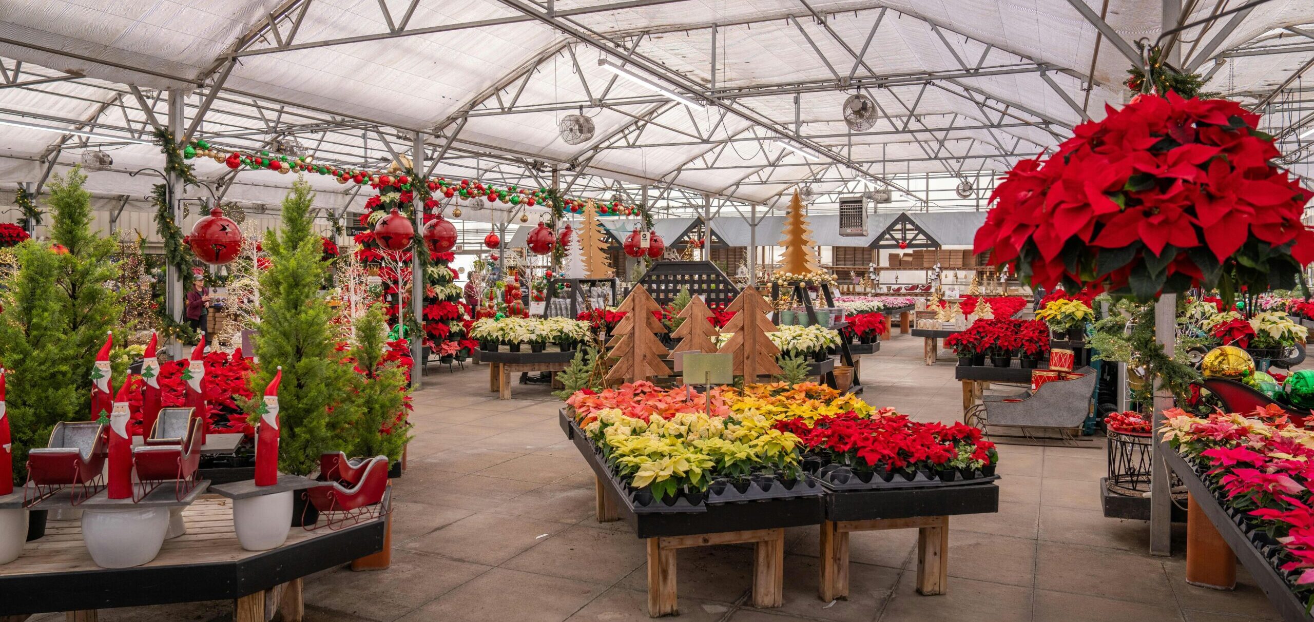 Nature inspired indoor activities in Abu Dhabi 