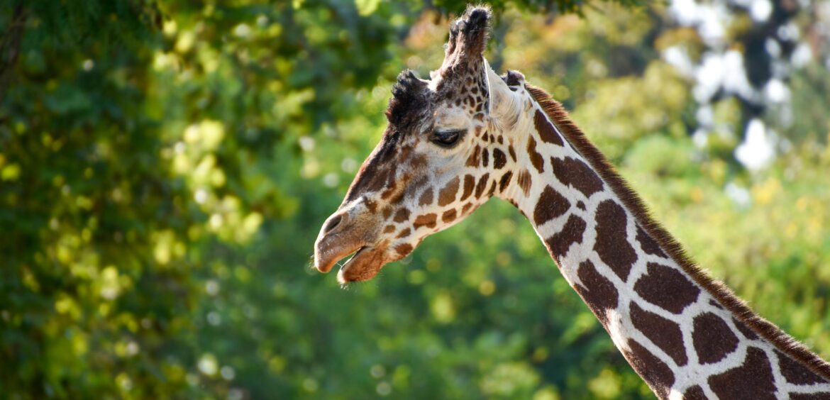Nature inspired indoor activities in Abu Dhabi