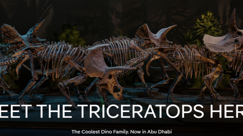 Dino Month Has Taken Over Natural History Museum Abu Dhabi This June