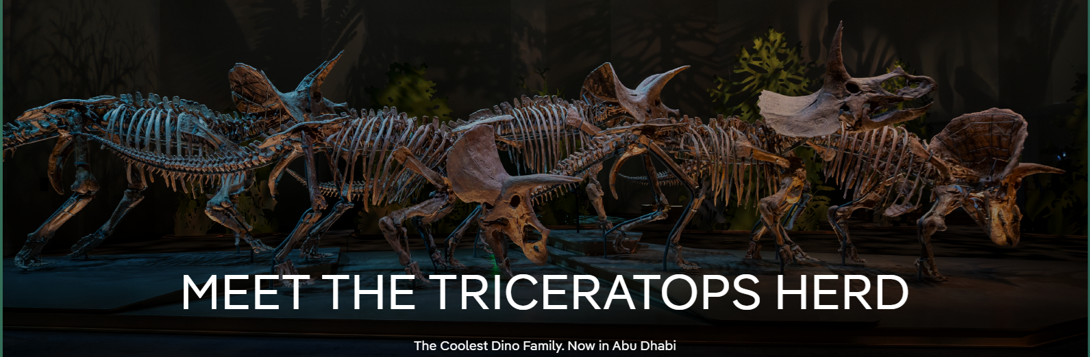Dino Month Has Taken Over Natural History Museum Abu Dhabi This June