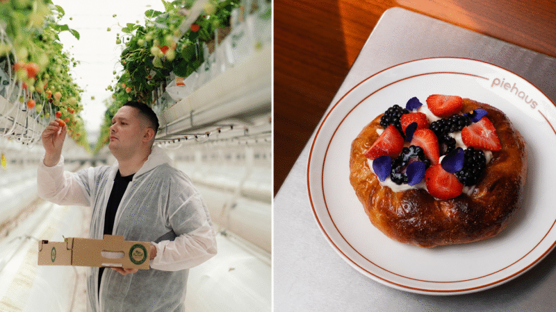 piehaus Unveils Counter Culture Edition 004 with Pure Harvest