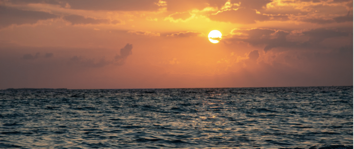 Saadiyat Island Abu Dhabi, things to do on Saadiyat Island