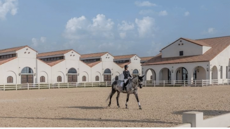 Explore the Future of Equestrian Sport at ADIHEX 2026 in Abu Dhabi