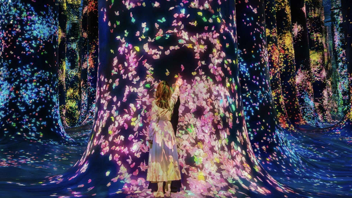 teamLab Phenomena Abu Dhabi