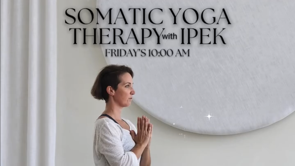 Yoga at Yoga La Vie
