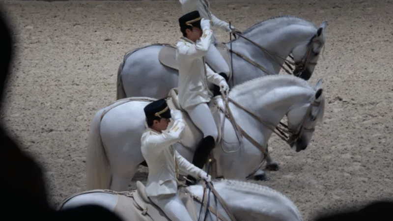 Abu Dhabi Royal Equestrian Arts Celebrates First Anniversary with Horse Performances, Workshops and Cultural Experiences