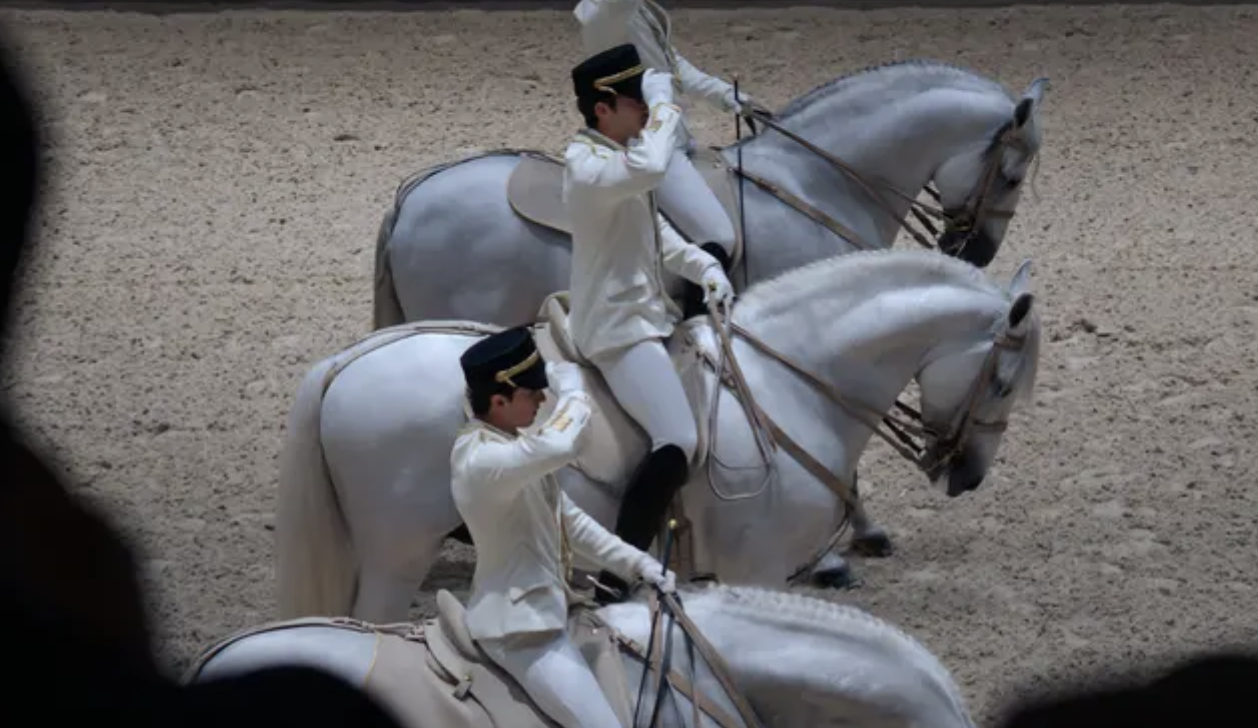 Abu Dhabi Royal Equestrian Arts Celebrates First Anniversary with Horse Performances, Workshops and Cultural Experiences